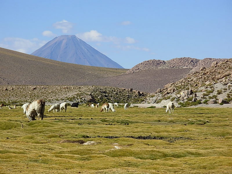 Foto de San Pedro de Atacama, Chile