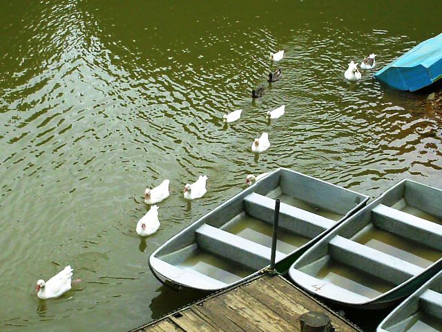 Foto de Guarne, Colombia