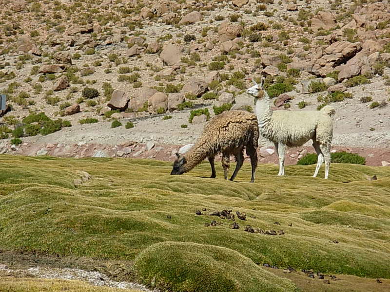 Foto de San Pedro de Atacama, Chile