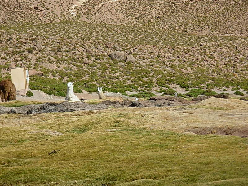 Foto de San Pedro de Atacama, Chile