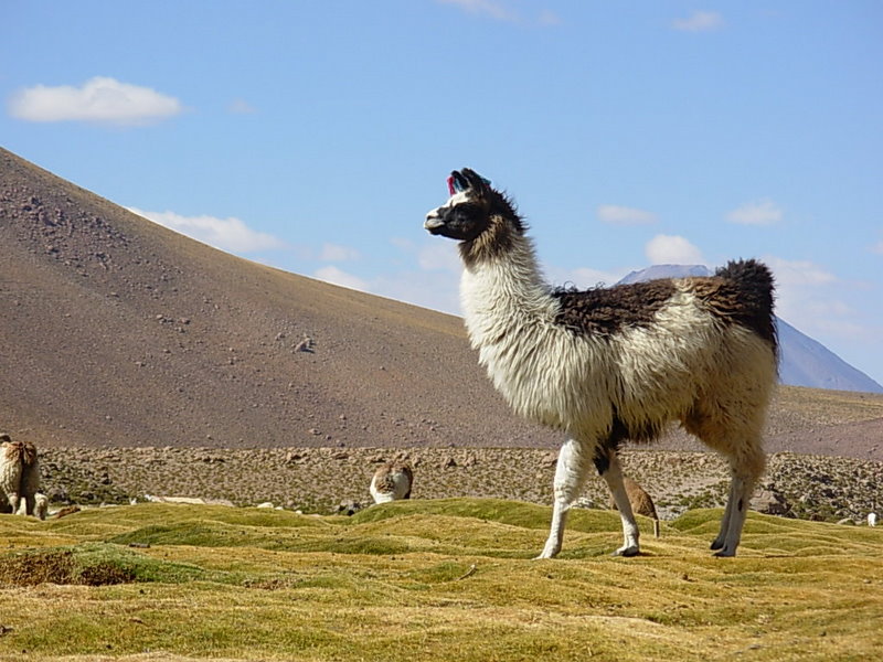 Foto de San Pedro de Atacama, Chile