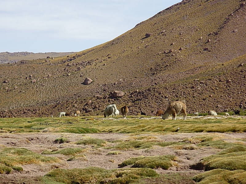 Foto de San Pedro de Atacama, Chile