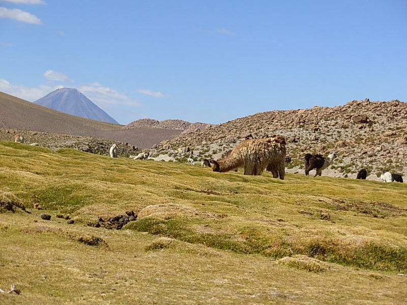 Foto de San Pedro de Atacama, Chile