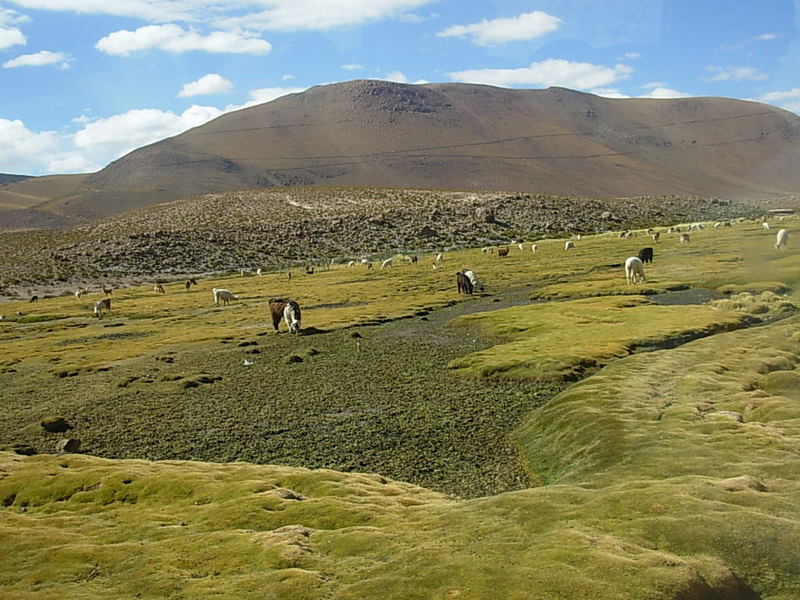 Foto de San Pedro de Atacama, Chile