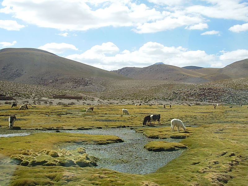 Foto de San Pedro de Atacama, Chile