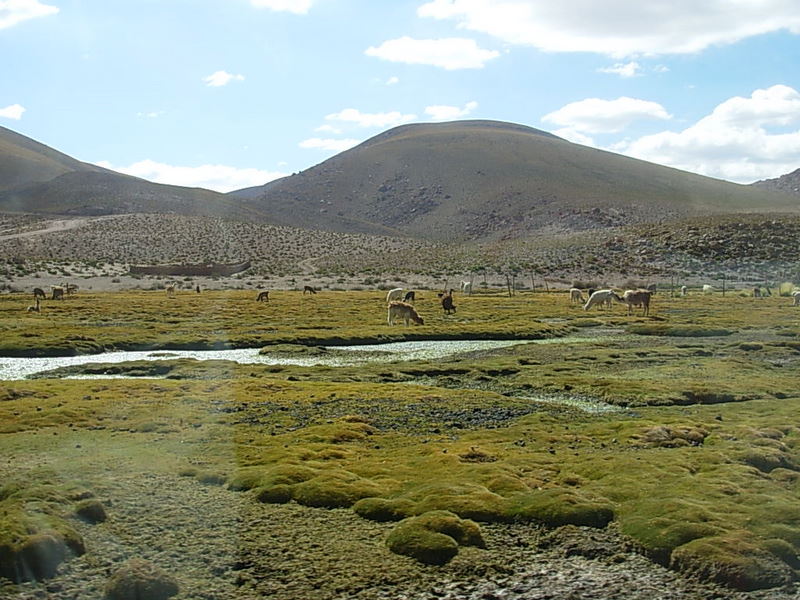 Foto de San Pedro de Atacama, Chile