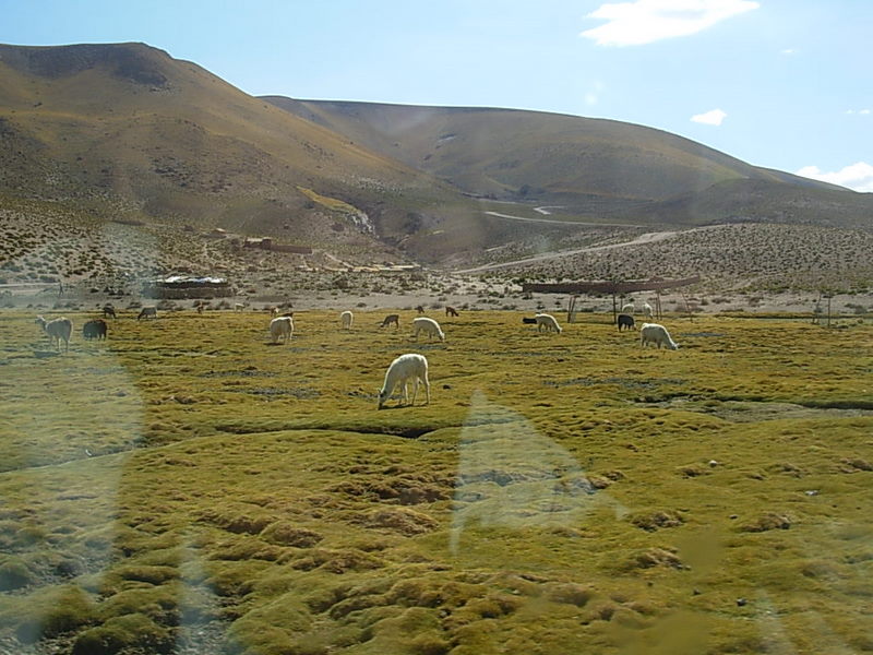 Foto de San Pedro de Atacama, Chile