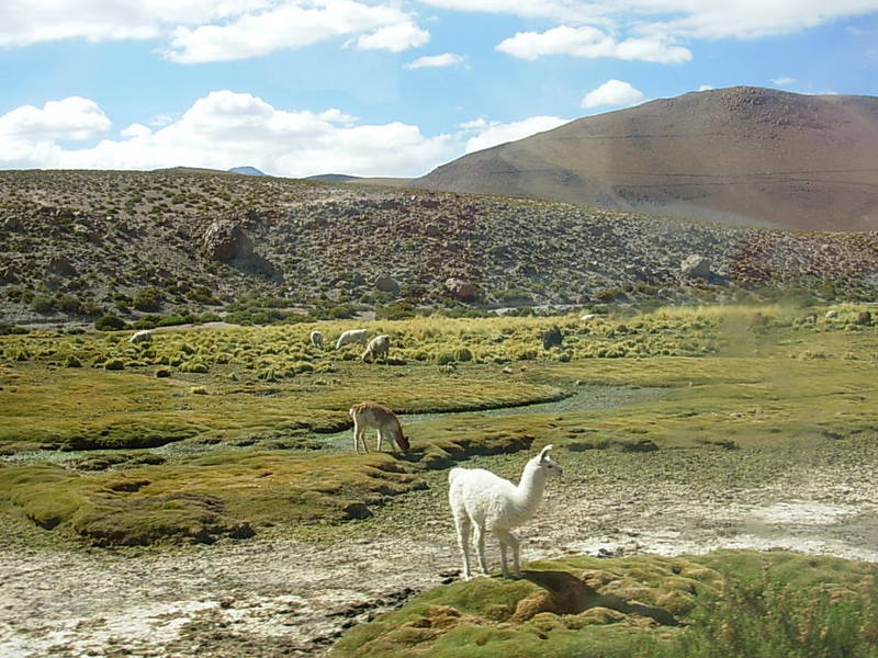 Foto de San Pedro de Atacama, Chile