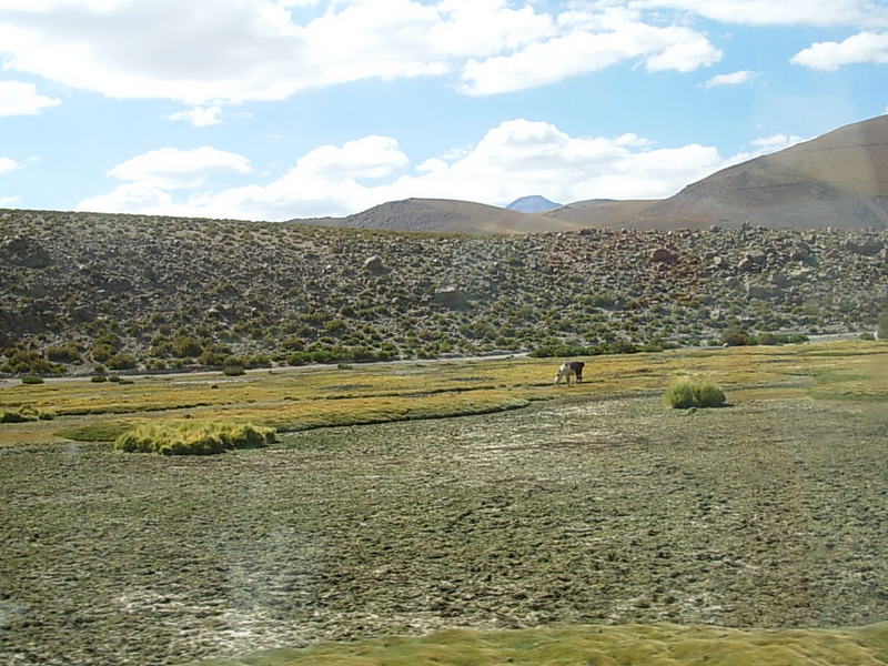 Foto de San Pedro de Atacama, Chile