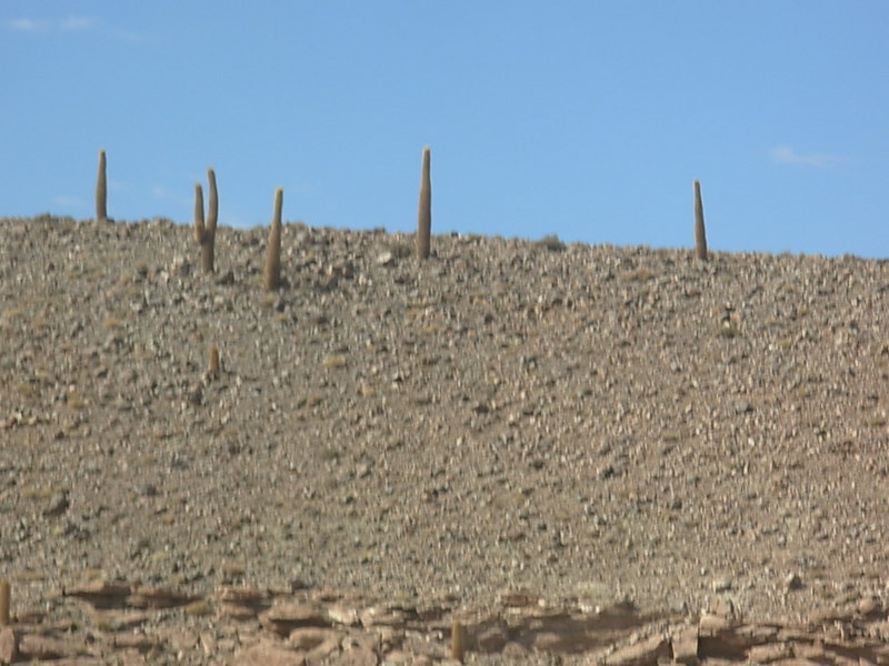 Foto de San Pedro de Atacama, Chile