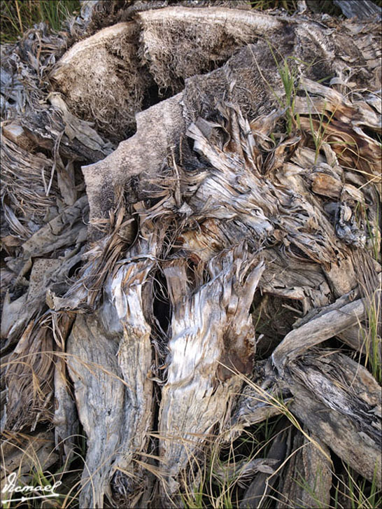 Foto de Oropesa del Mar (Castelló), España
