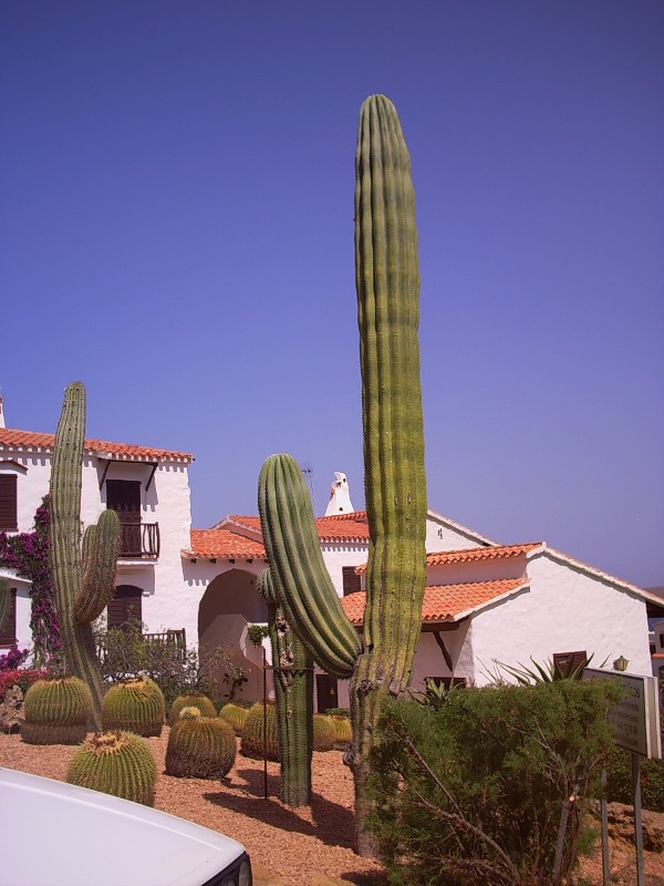 Foto de Fornels - Menorca (Illes Balears), España