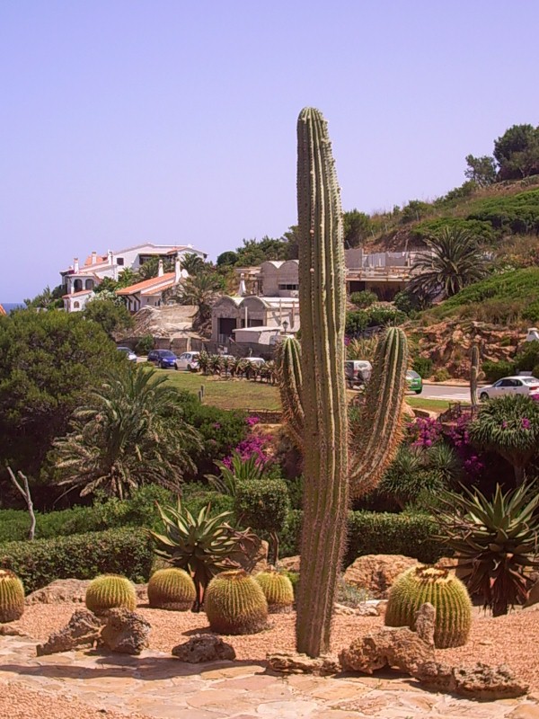 Foto de Fornels - Menorca (Illes Balears), España