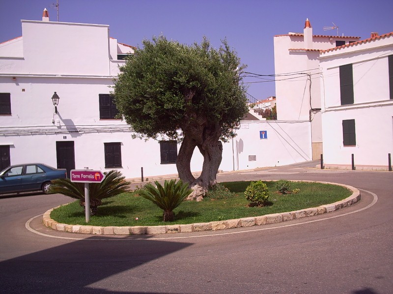 Foto de Menorca (Illes Balears), España