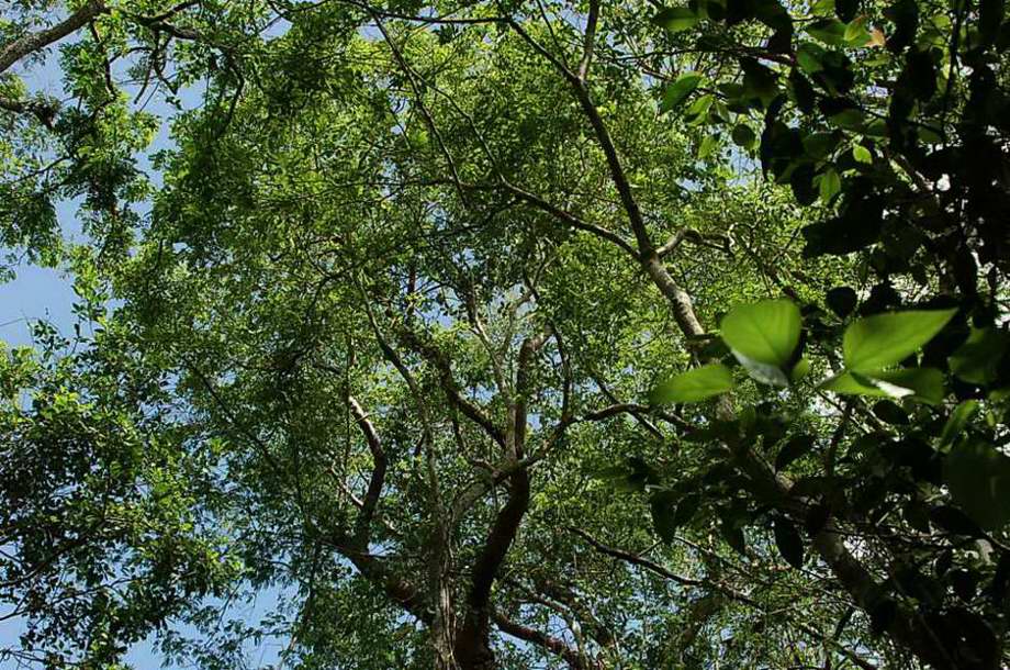 Foto de Chichén Itzá, México