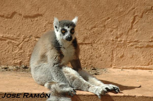 Foto de Jerez de la Frontera (Cádiz), España