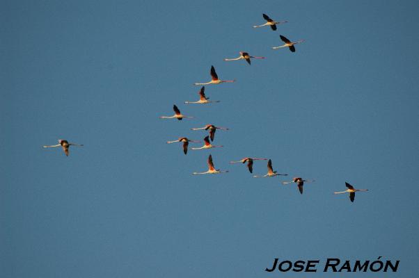 Foto de Jerez de la Frontera (Cádiz), España