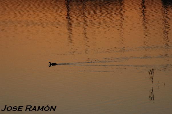 Foto de Jerez de la Frontera (Cádiz), España