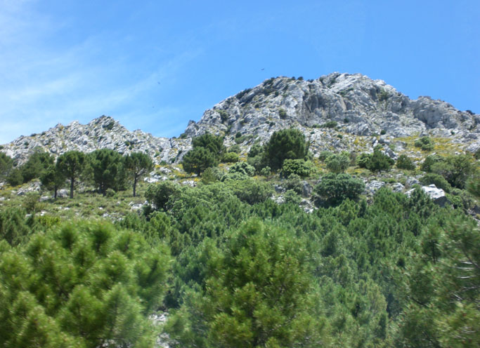 Foto de Grazalema (Cádiz), España