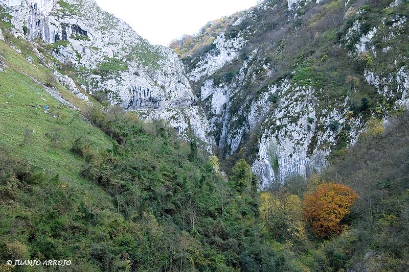 Foto de Santo Adriano (Asturias), España