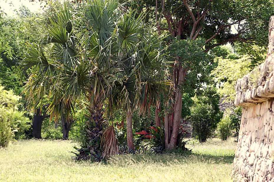 Foto de Ek Balam, México