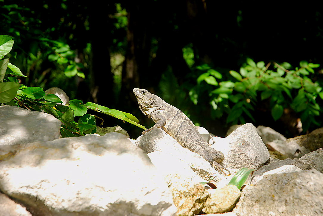 Foto de Ek Balam, México