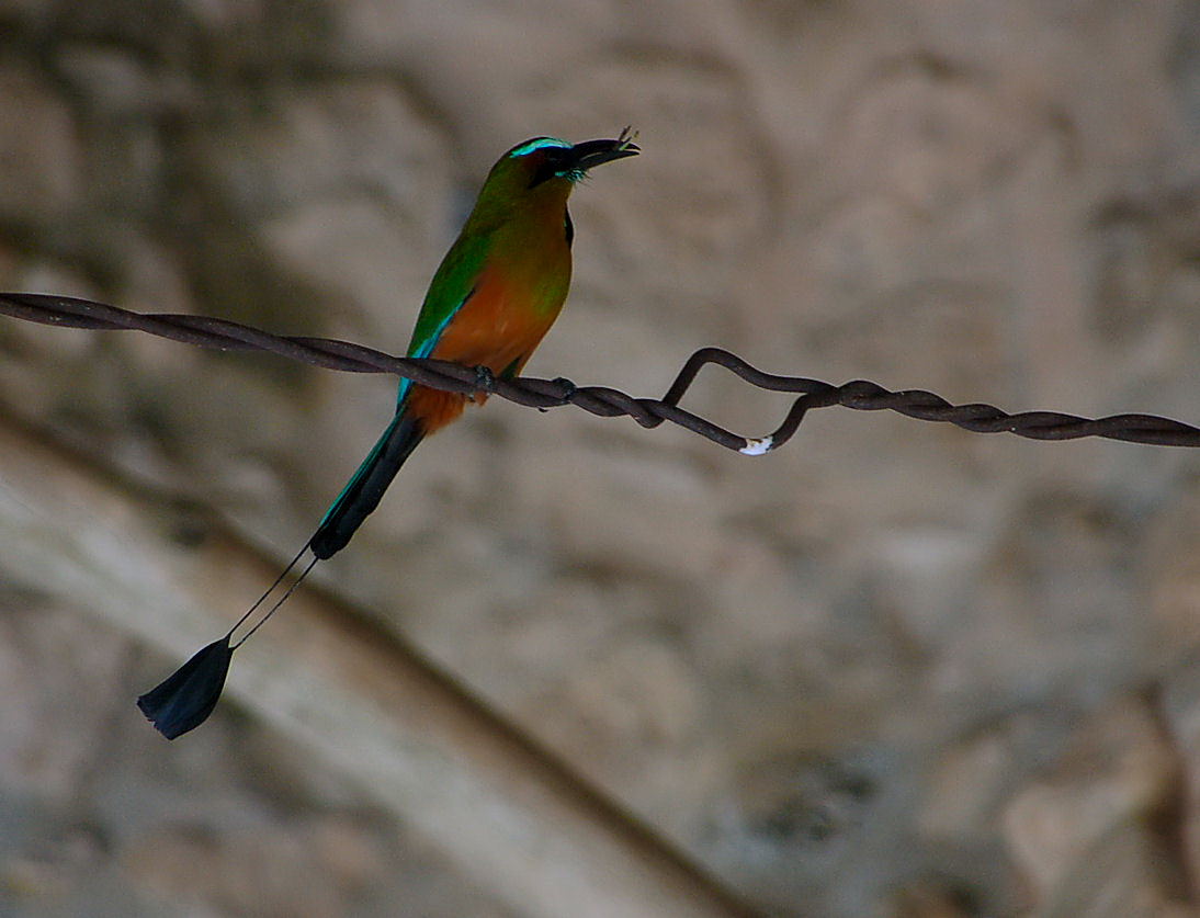 Foto de Ek Balam, México