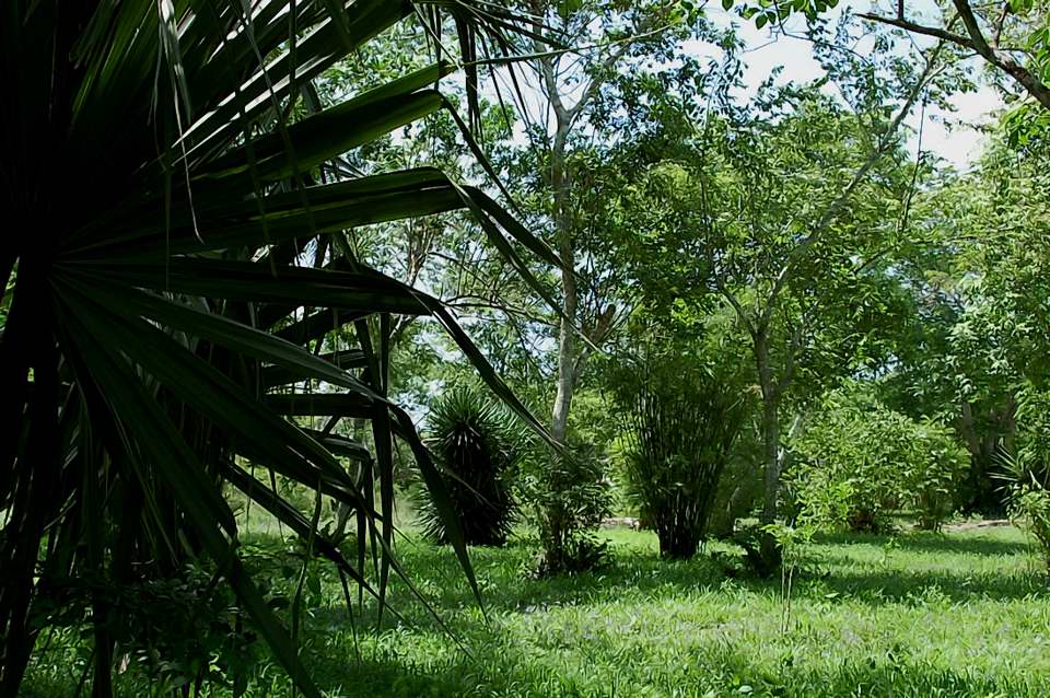 Foto de Ek Balam, México