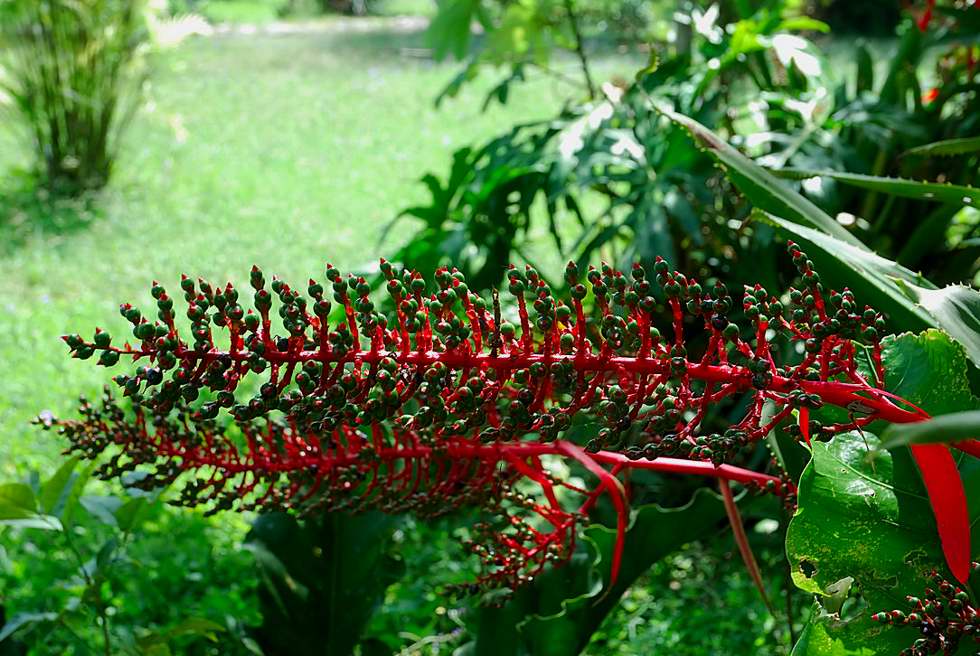 Foto de Ek Balam, México