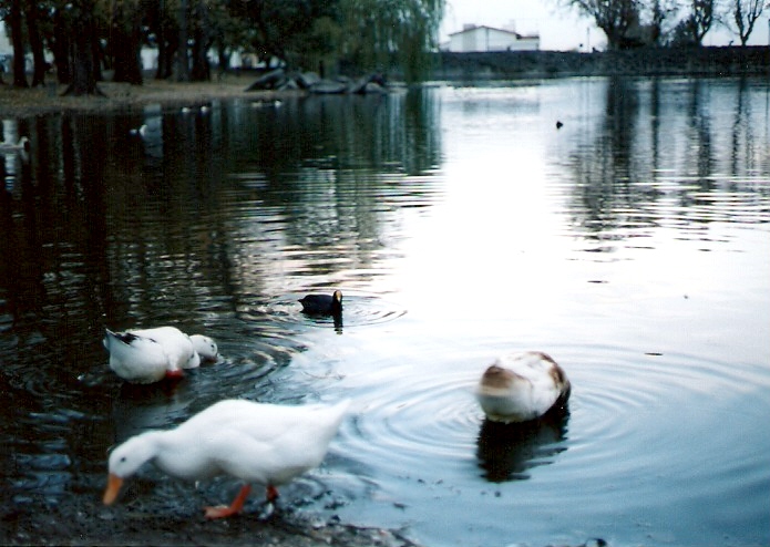 Foto de Alta Gracia - Córdoba, Argentina