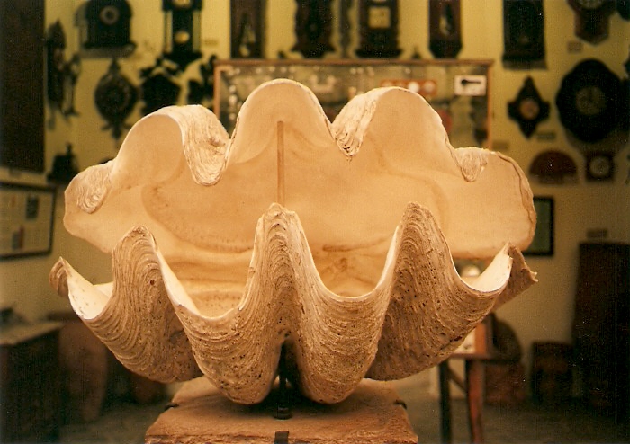 Foto de Nono - Córdoba, Argentina