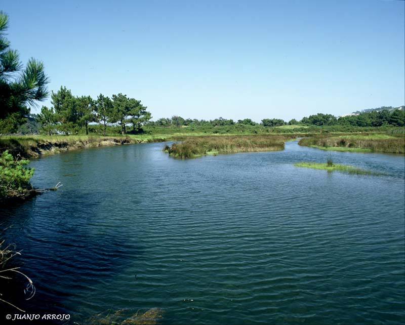 Foto de Luarca (Asturias), España