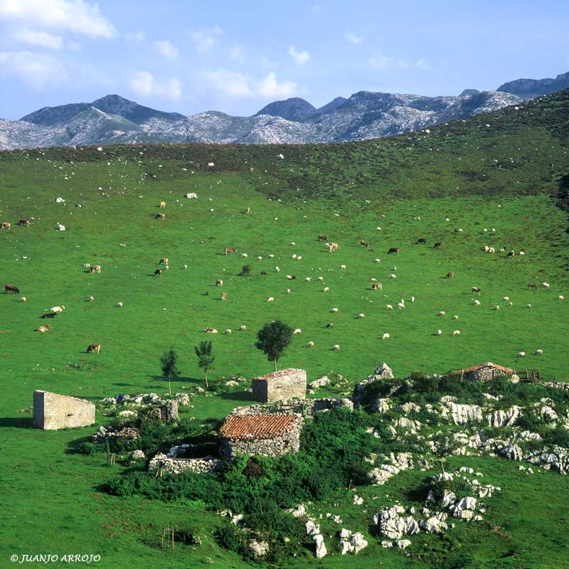 Foto de Onís (Asturias), España