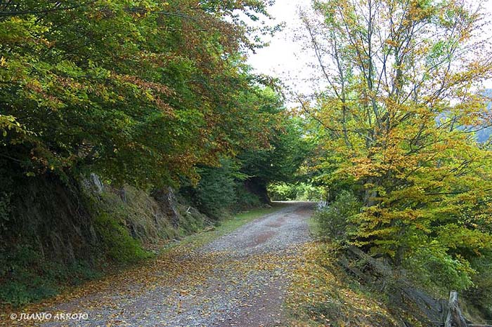 Foto de Caso (Asturias), España