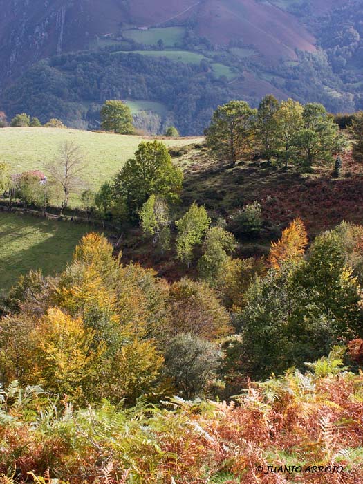 Foto de Sobrescobio (Asturias), España