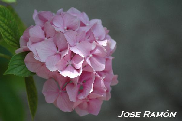 Foto de Jerez de la Frontera (Cádiz), España