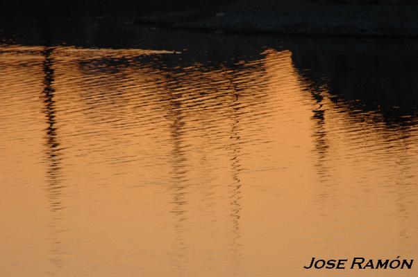 Foto de Jerez de la Frontera (Cádiz), España