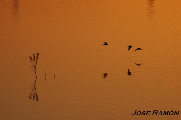 Foto de Jerez de la Frontera (Cádiz), España