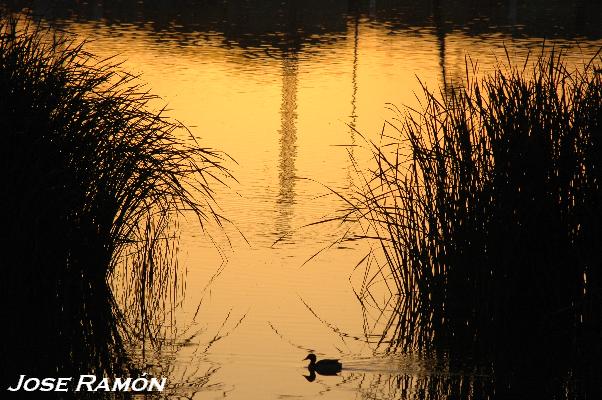 Foto de Jerez de la Frontera (Cádiz), España
