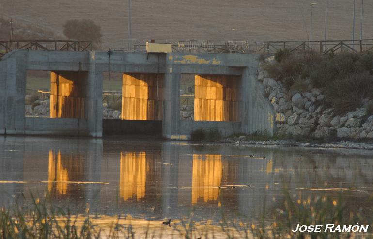 Foto de Jerez de la Frontera (Cádiz), España