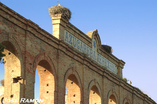 Foto de Jerez de la Frontera (Cádiz), España