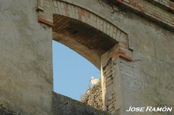 Foto de Jerez de la Frontera (Cádiz), España