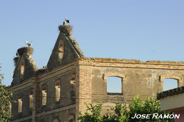 Foto de Jerez de la Frontera (Cádiz), España