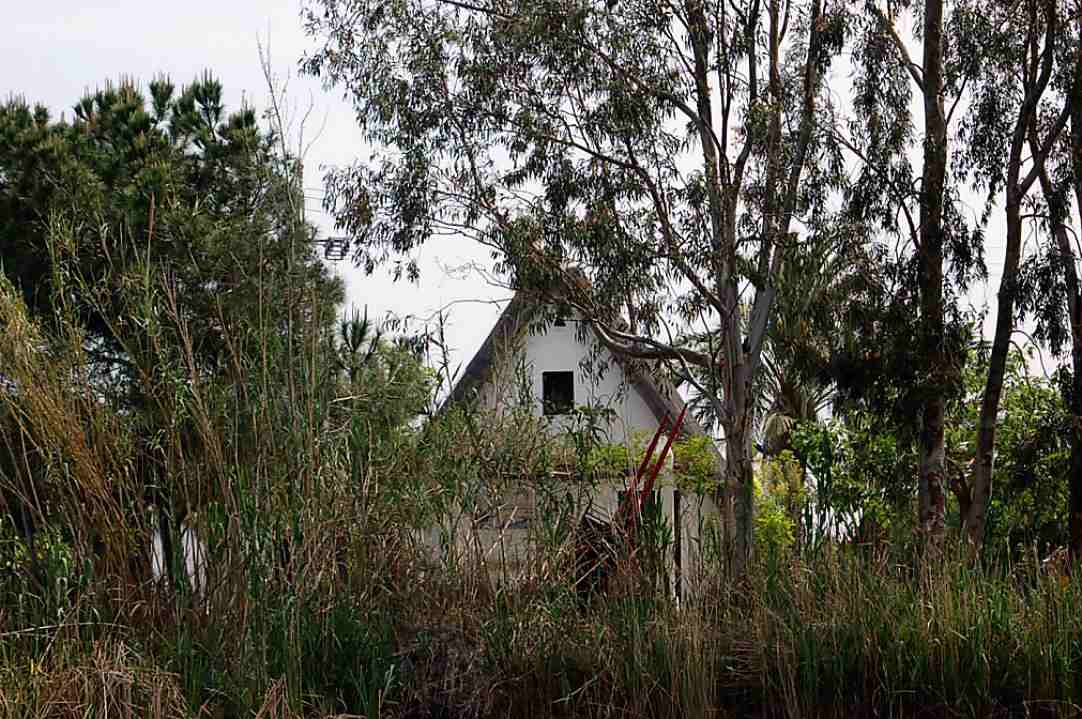 Foto de Valencia (València), España