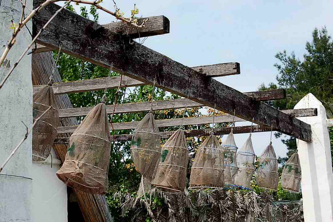 Foto de Valencia (València), España