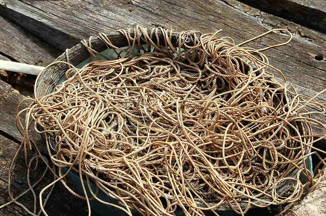 Foto de Valencia (València), España