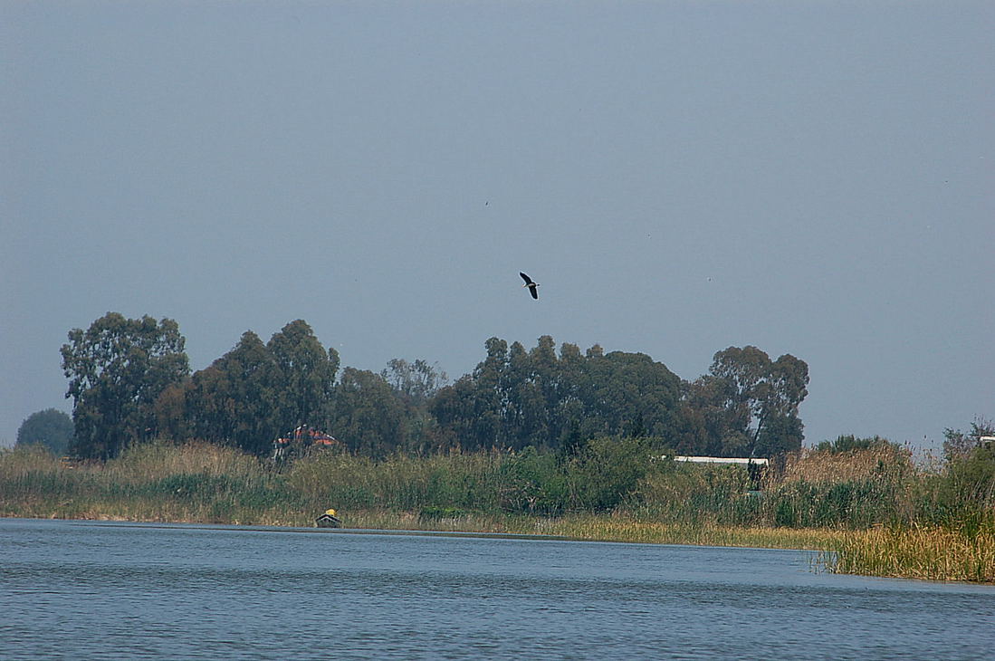 Foto de Valencia (València), España