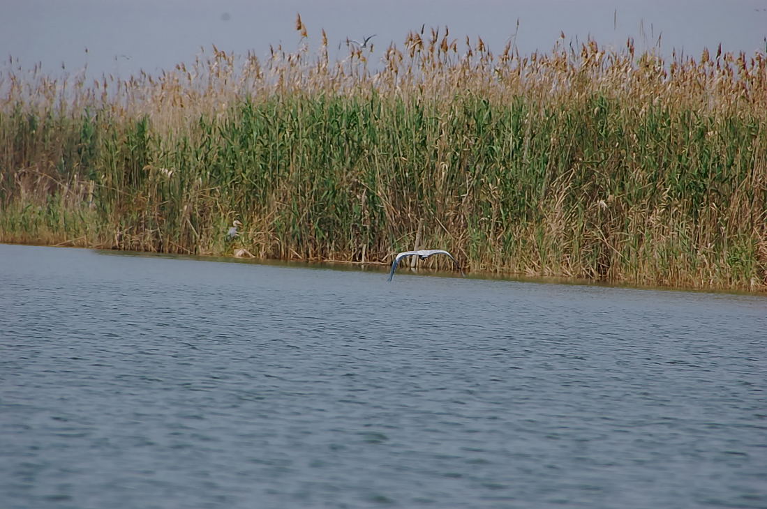 Foto de Valencia (València), España