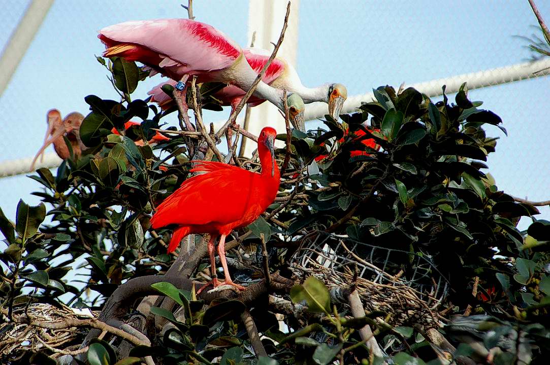 Foto de Valencia (València), España