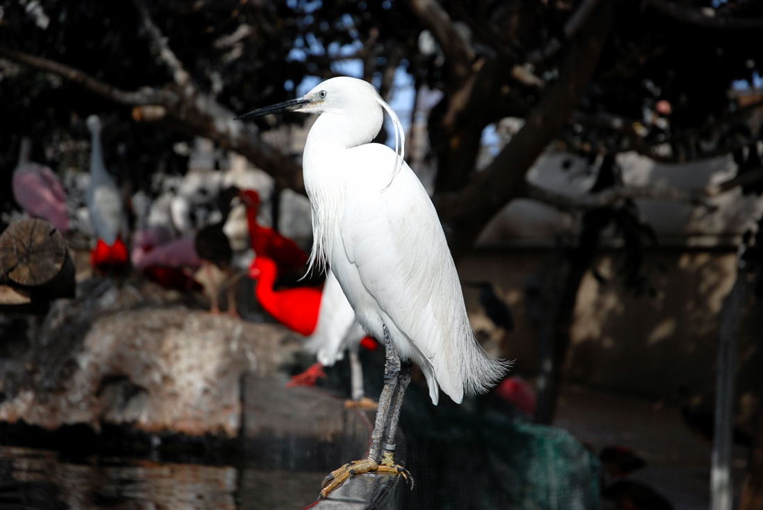 Foto de Valencia (València), España